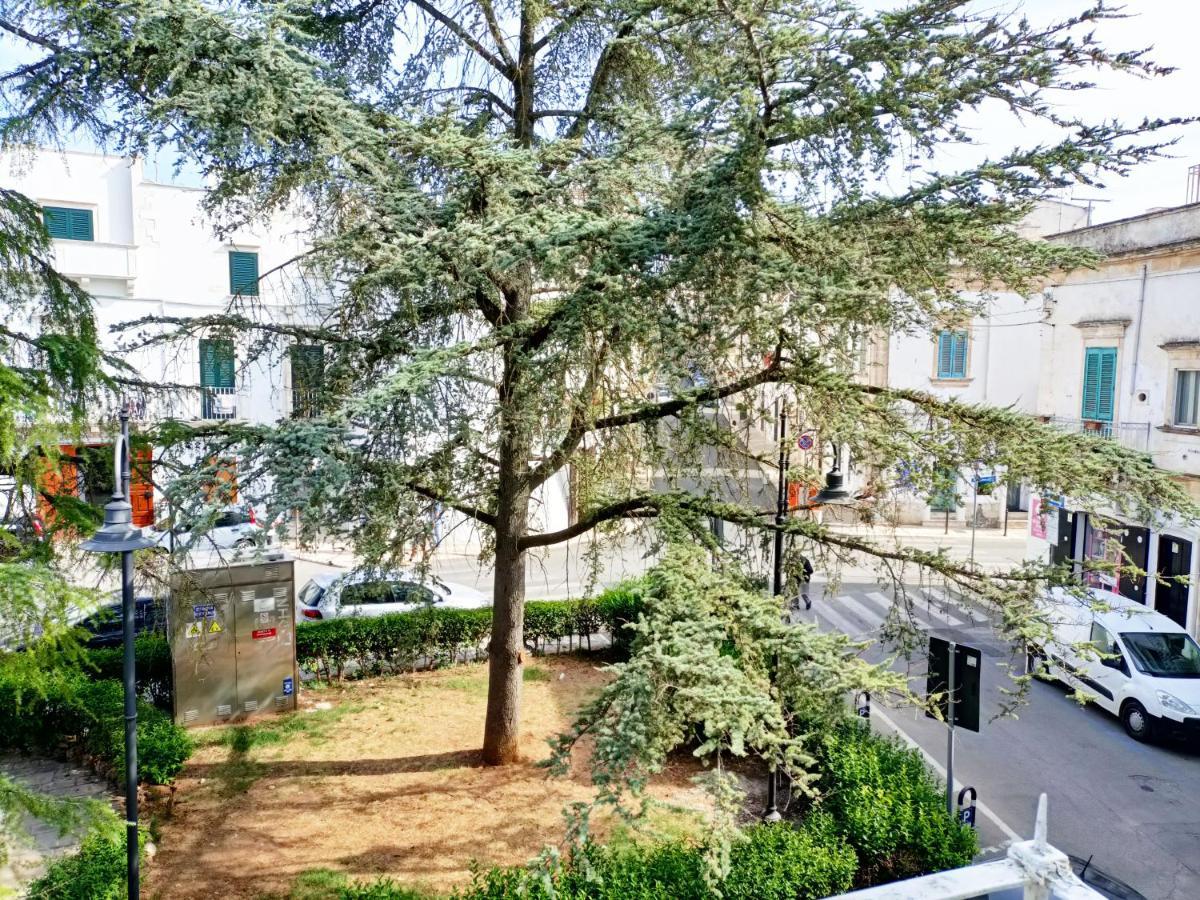Da Zio Lello Apartment Martina Franca Ngoại thất bức ảnh